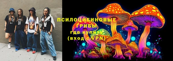прущая мука Арсеньев