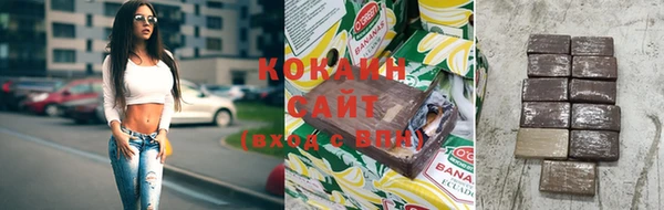 дурь Инта