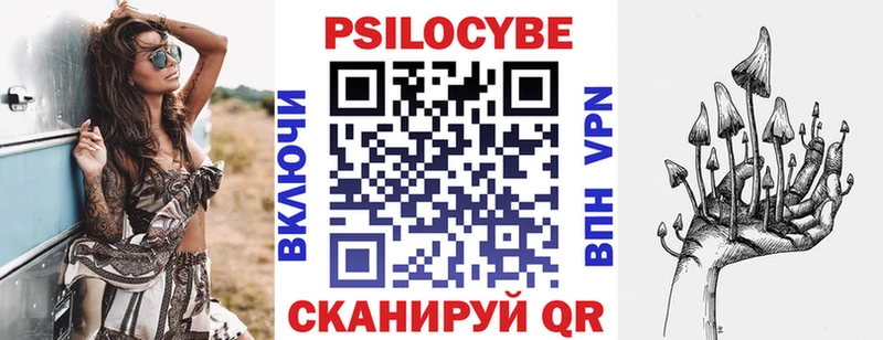 Псилоцибиновые грибы Cubensis как найти закладки Пласт